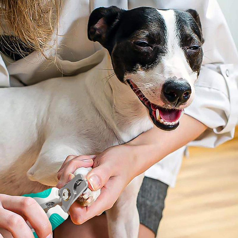 Stainless Steel Pet Nail Clipper for Cats and Dogs