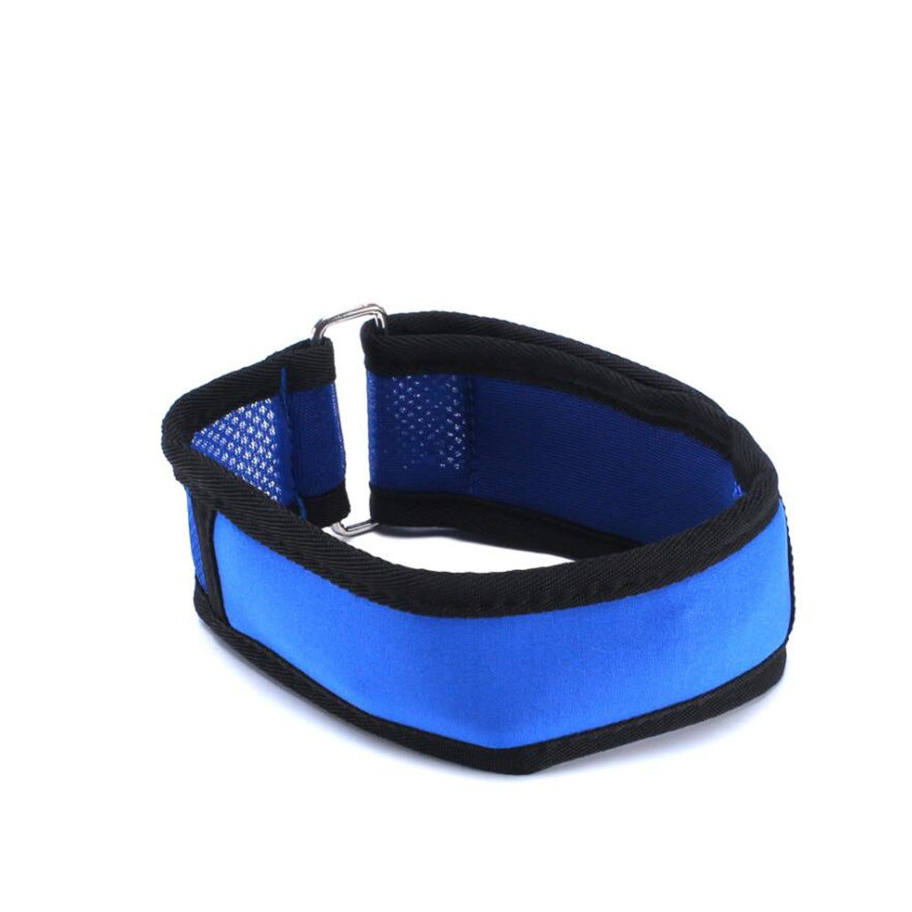 Cool Comfort: Heatstroke Relief Collar for Dogs