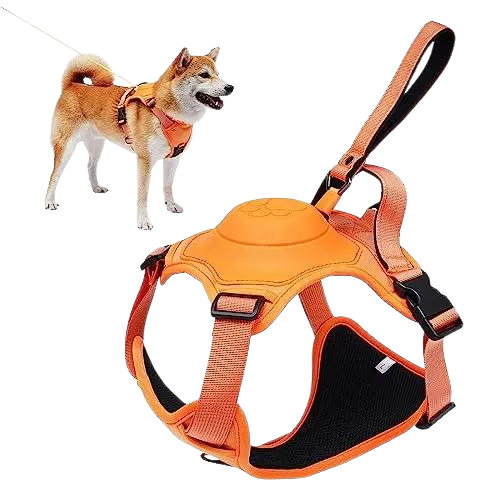 LeashLink™ 3 in 1 Harness With Built-In Leash