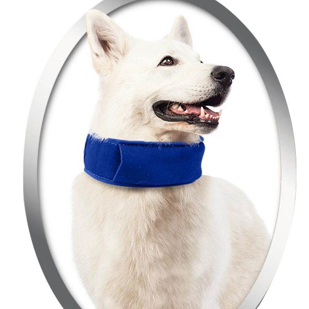 Cool Comfort: Heatstroke Relief Collar for Dogs