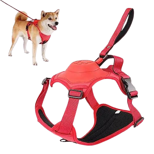 LeashLink™ 3 in 1 Harness With Built-In Leash