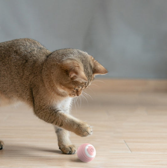 Automatic Smart Cat Toy Ball For Indoor Play