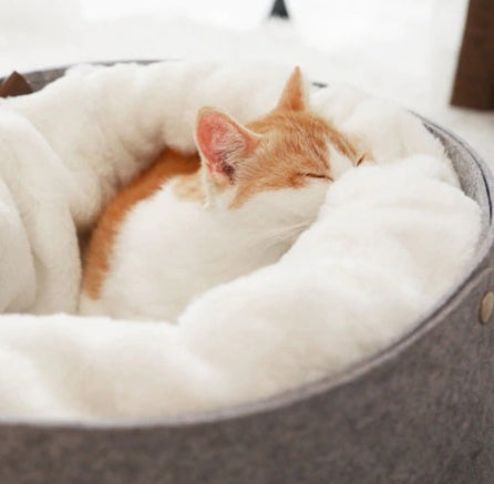 Detachable Cat Bed with Windproof Outer Shell