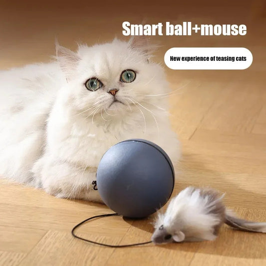 Paw-sitive Play: Automatic Mouse Teaser Ball