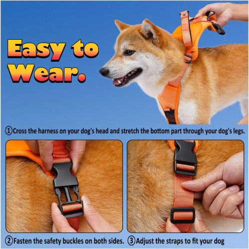 LeashLink™ 3 in 1 Harness With Built-In Leash